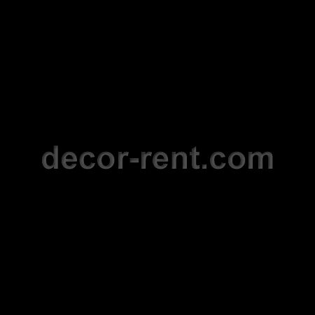 Plates Dishes Cutlery Rentals